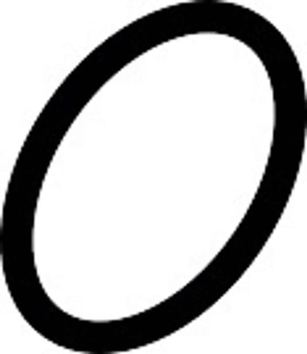 Schwarzer O-Ring mit rundem Querschnitt, geeignet für Abdichtungen. Produkt von Hansgrohe.